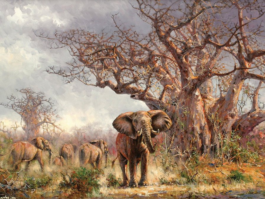 Саванна - саванна, слоны - оригинал