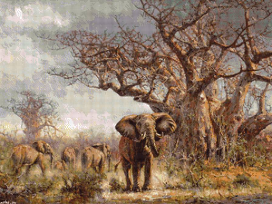 Саванна - саванна, слоны - предпросмотр