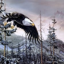 Схема вышивки «Полёт»