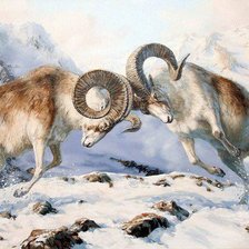 Схема вышивки «Бой»