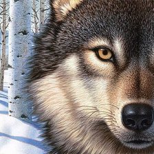 Схема вышивки «№1089633»