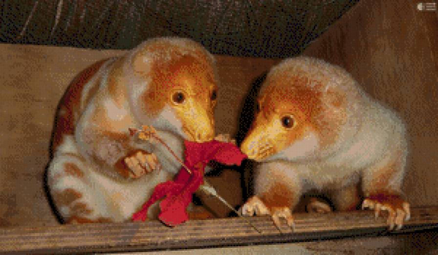 Пятнистый кускус - животное - предпросмотр