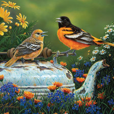 Две птички на старом чайнике