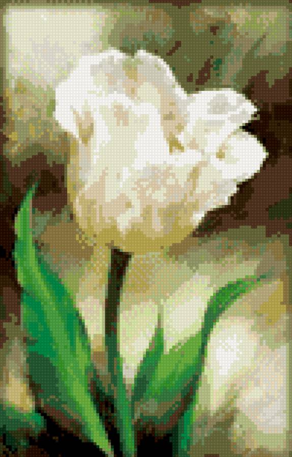 тюльпан - предпросмотр