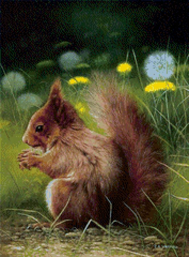 0238 - картина, белка, красота, природа, лето, живопись, животные - предпросмотр