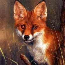 Схема вышивки «0239»