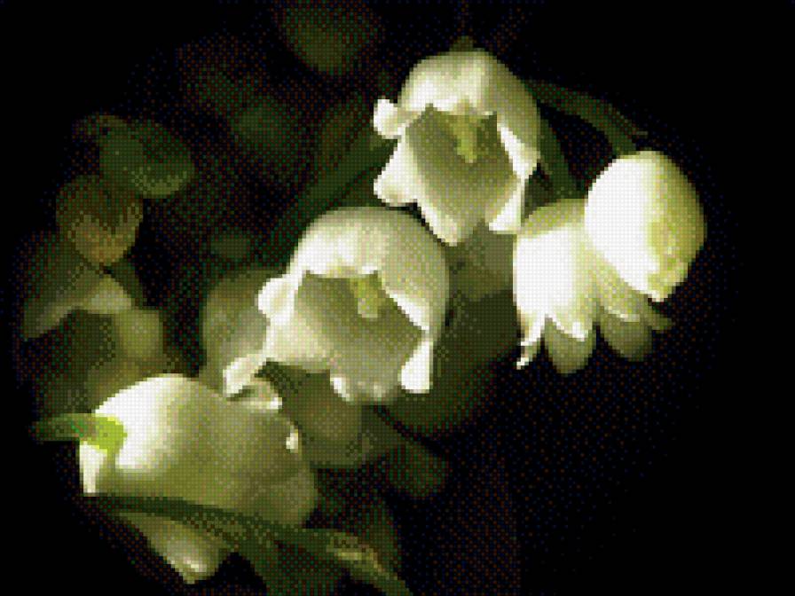 ландыши - предпросмотр