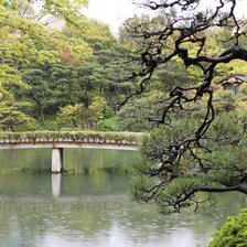 Схема вышивки «Ботанический сад»