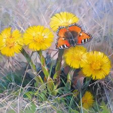 Схема вышивки «Мать- и - мачеха»