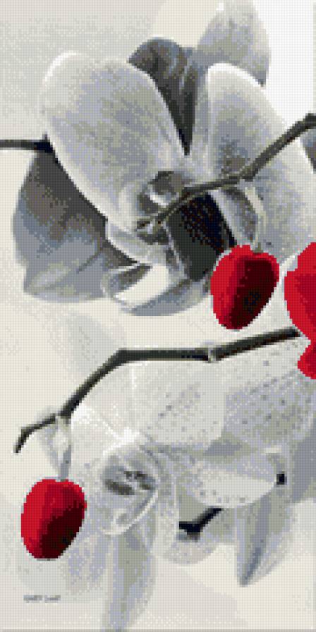 триптих орхидея левый - триптих, орхидея - предпросмотр