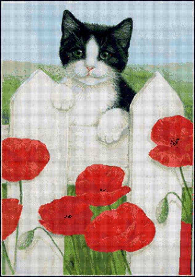 кошечка - предпросмотр