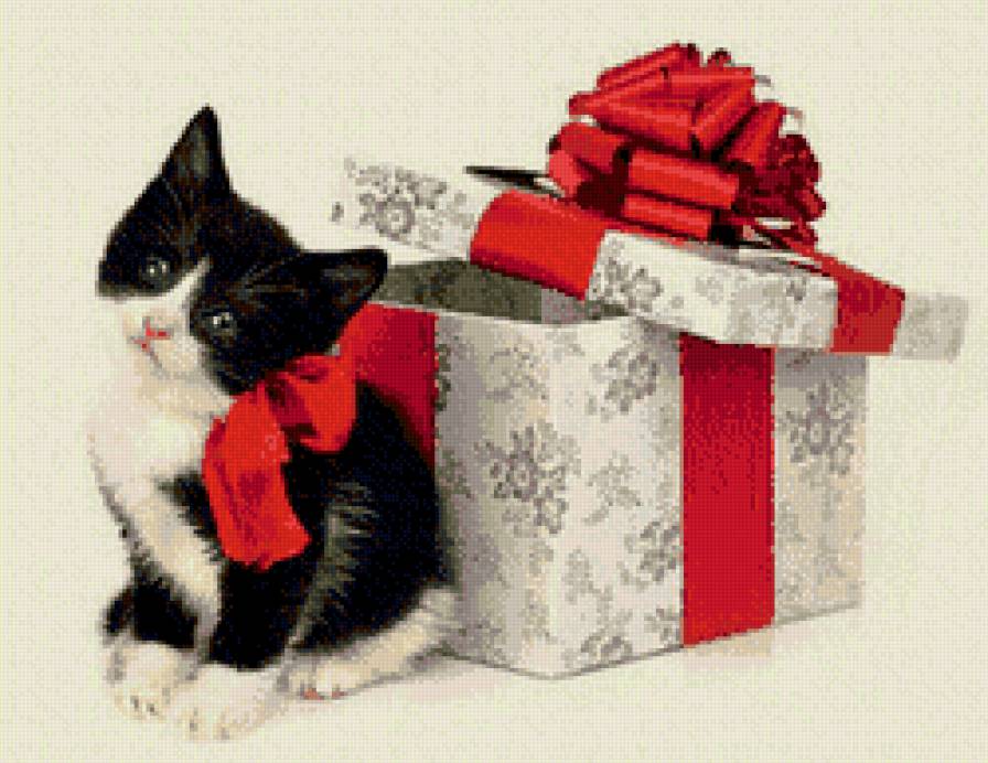 кисуля - предпросмотр