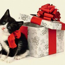 Схема вышивки «кисуля»