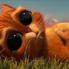 Схема вышивки «котик в сопагах»