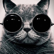 Схема вышивки «Котик»