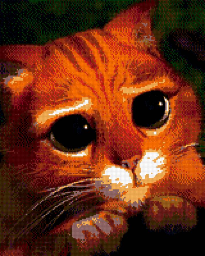 котик с глазками - кот - предпросмотр