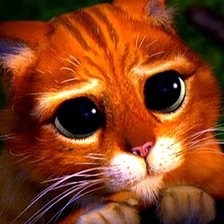 Схема вышивки «котик с глазками»