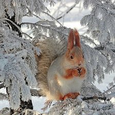 Схема вышивки «Милашка»