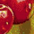 Предпросмотр схемы вышивки «яблоки и вишни на ветке» (№1091385)