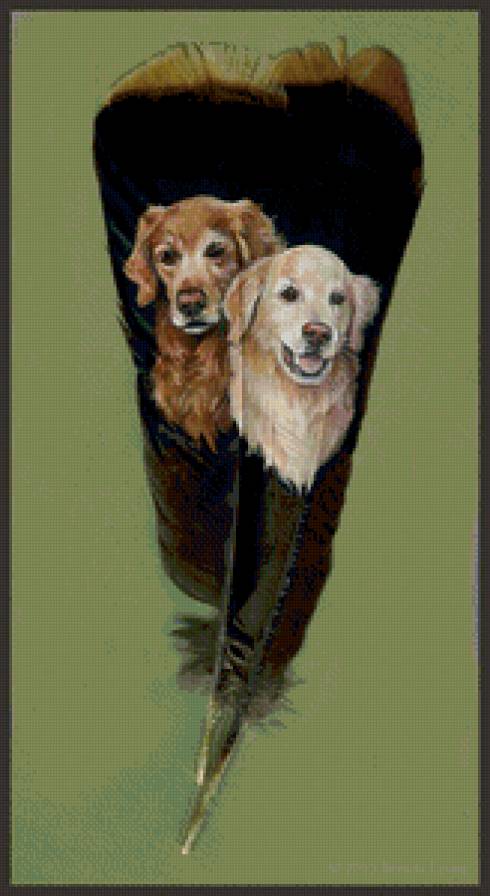 перо - собаки, рисунки, перья - предпросмотр