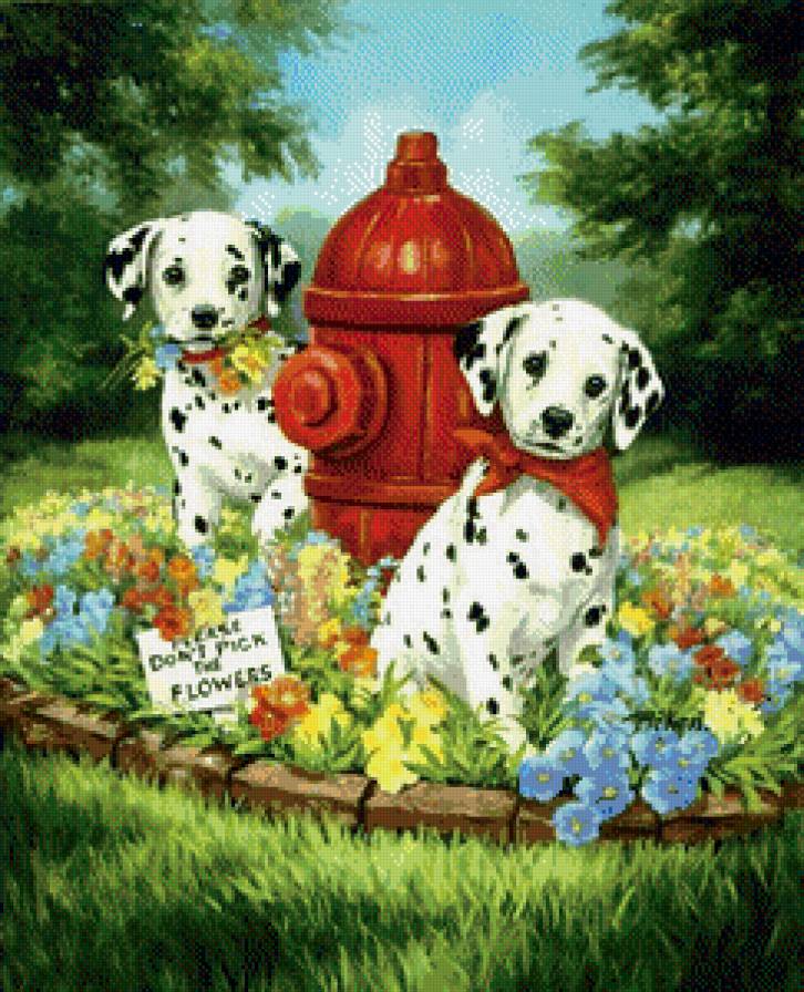 Долматинцы - картина, собаки, яркие картинки, природа - предпросмотр