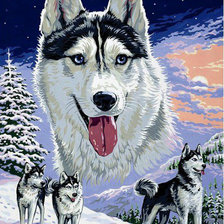 Схема вышивки «хаски»