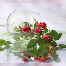 Схема вышивки «Розы»