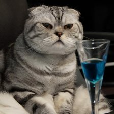 Схема вышивки «британец»