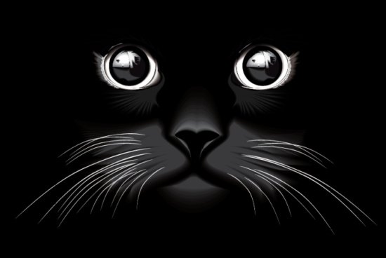 Черный кот - оригинал