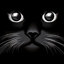 Схема вышивки «Черный кот»