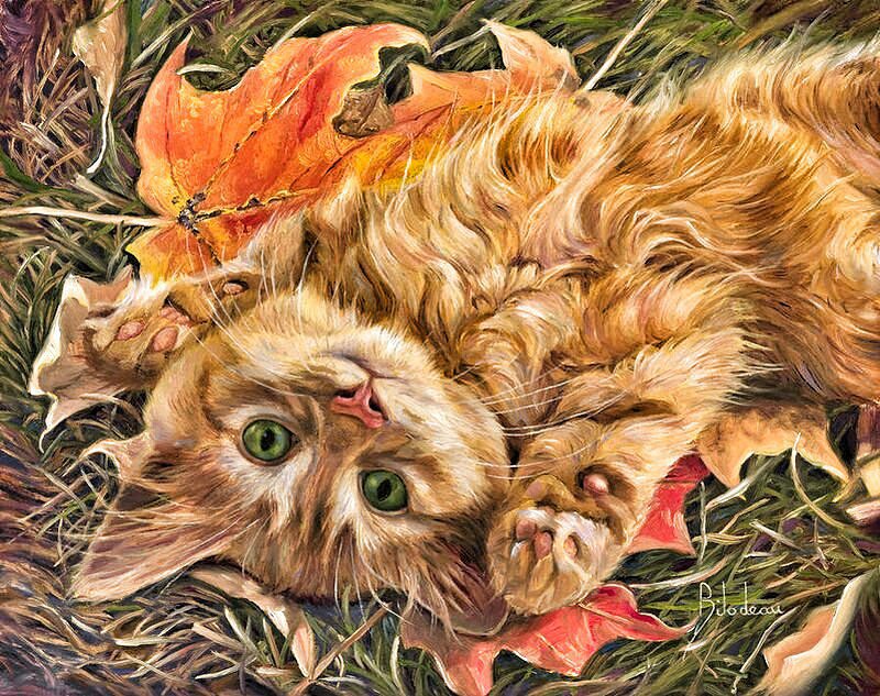 рыжий котенок - кошки, животные - оригинал