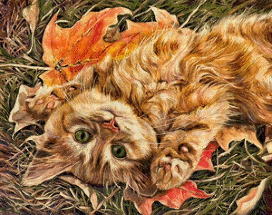 рыжий котенок - животные, кошки - предпросмотр