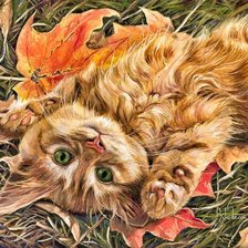 Схема вышивки «рыжий котенок»