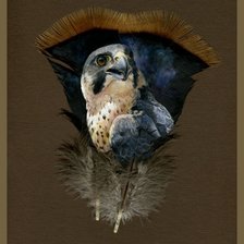 Схема вышивки «Перо 2»