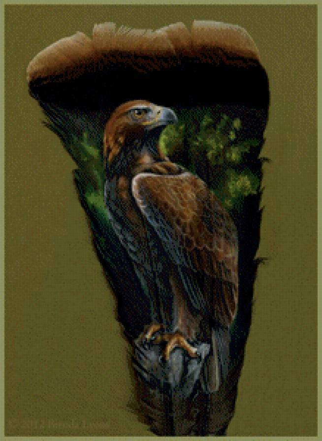 Перо 3 - природа, перо, картинки - предпросмотр