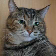 Схема вышивки «Сонечка»