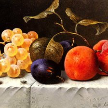 Схема вышивки «натюрморт»