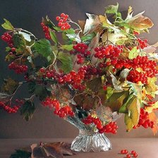 Схема вышивки «рябина»