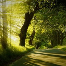 Схема вышивки «Летний парк»