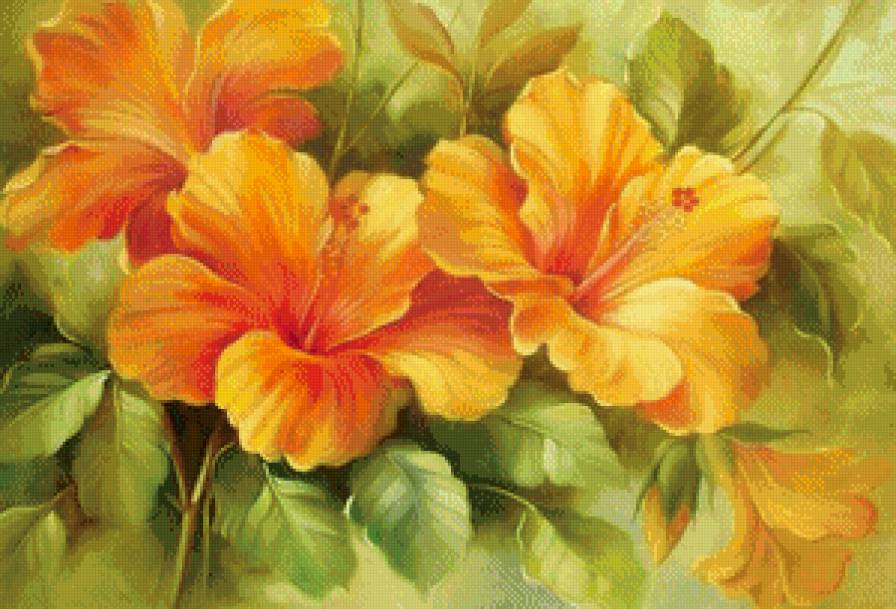 Гибискус - цветы, букет, цветок - предпросмотр