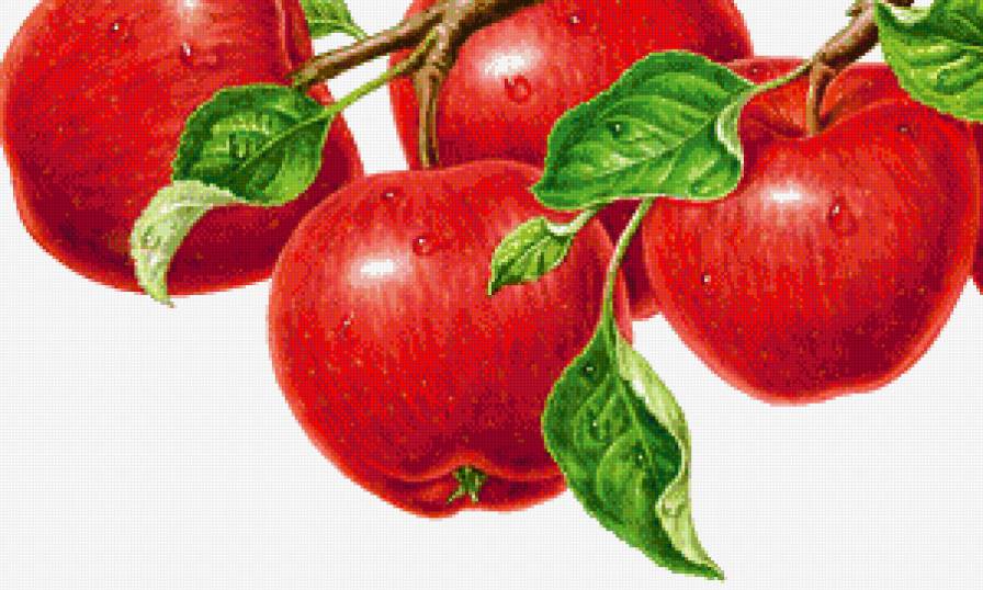 Яблоки - на кухню, фрукты - предпросмотр