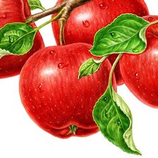 Схема вышивки «Яблоки»