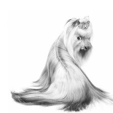 Схема вышивки «йорк»