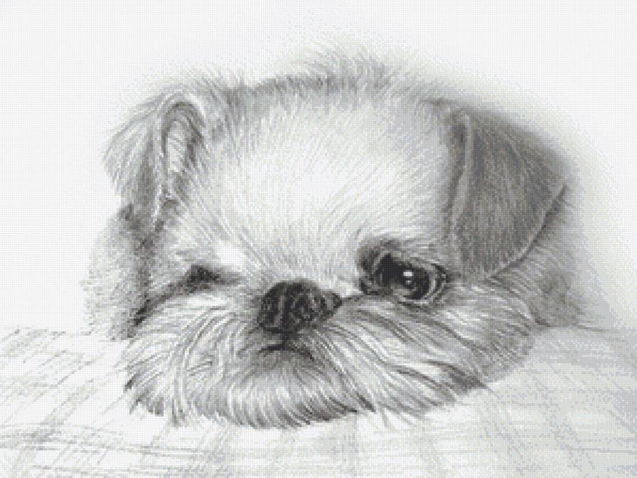 грусть - щенок, грусть - предпросмотр