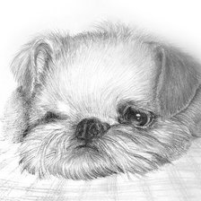 Схема вышивки «грусть»