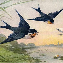 Схема вышивки «Весна»