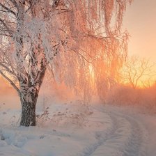 зимний рассвет