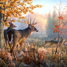 Схема вышивки «Семья оленей»