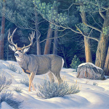 Схема вышивки «Олень в лесу»