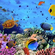 Схема вышивки «красота»